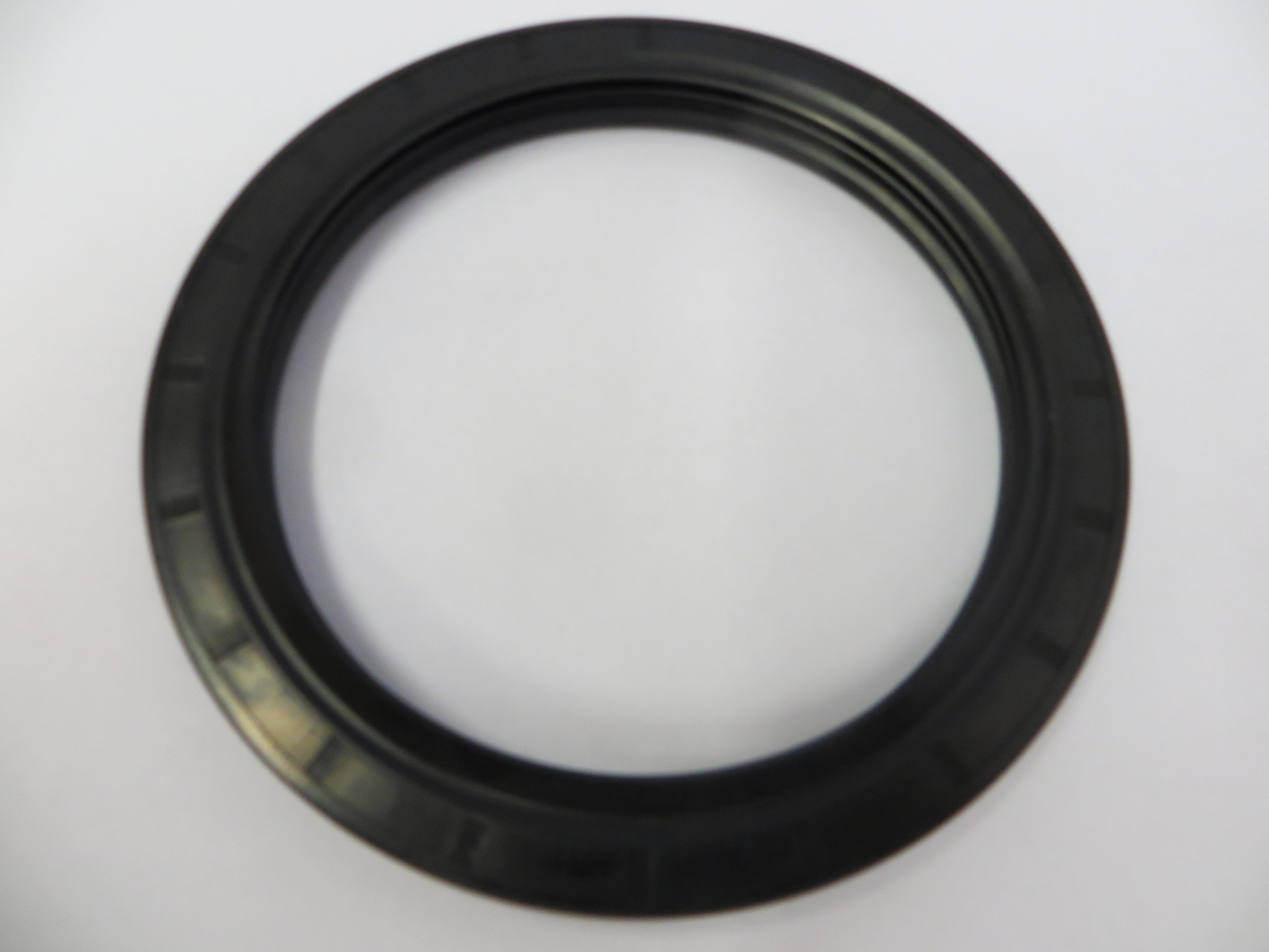 Triple Lip Seal10X140MM F8203806